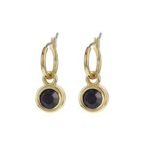 Biba Hang Oorbellen met Swarovski Steentje Purple Velvet Goud