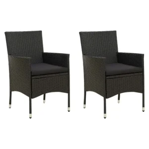 Tuinstoelen set van poly rattan met stevig gepoedercoat stalen frame